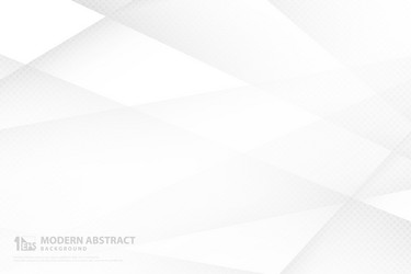 abstract gradient white and gray technology vector image