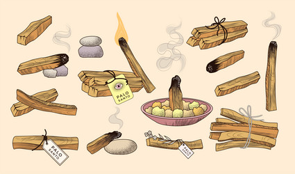 palo santo hand drawn pictures of aroma wood vector image