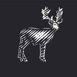 beautiful deer vector image