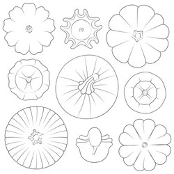 set of black and white images with pumpkins vector image