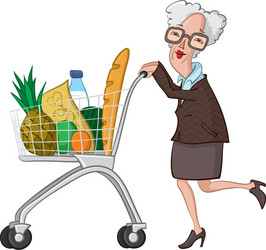 grocery shopping vector image