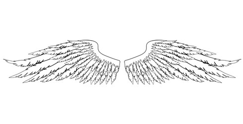 black and white hand-drawn wings vector image