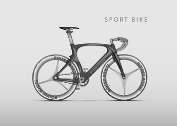 realistic racing bicycle road vector image