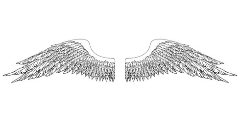 black and white hand-drawn wings vector image