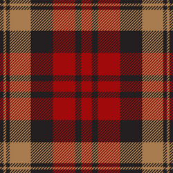 red and brown tartan plaid pattern fabric swatch vector image