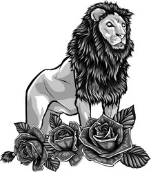 monochrome lion with rose vector image