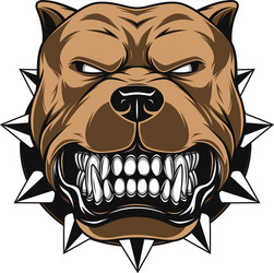 angry dog vector image