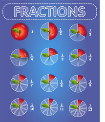 fractions apple on top vector image