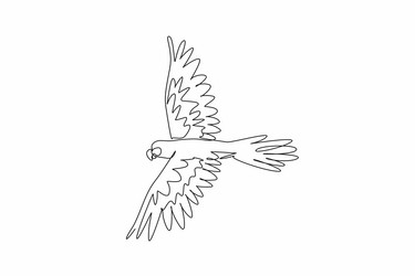 national bird day one single line drawing vector image