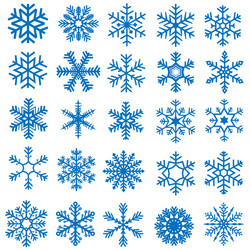 snowflake set vector image