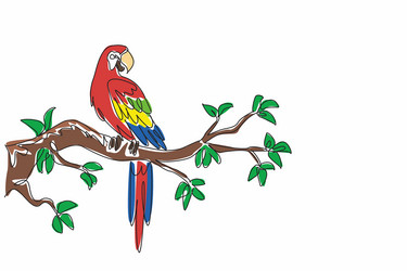 one single drawing of beautiful parrot bird vector image