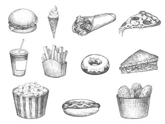 set fast food hand drawn vector image