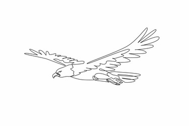 single one line drawing of dashing bald eagle vector image