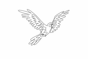 national bird day one continuous line drawing vector image