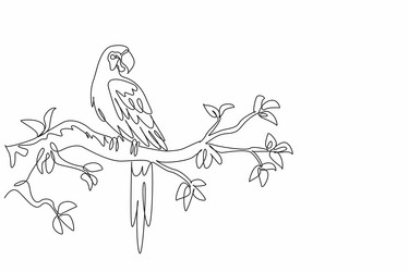 one single drawing of beautiful parrot bird vector image