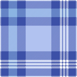 seamless tartan pattern in blue and white vector image