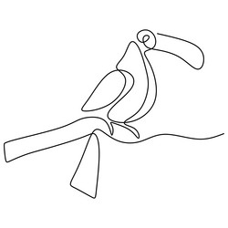 one continuous line drawing of cute toucan bird vector image