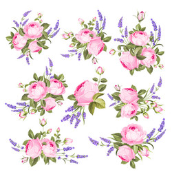 set blooming flowers for your design vector image