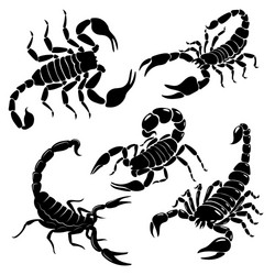 scorpion set a collection black and white vector image