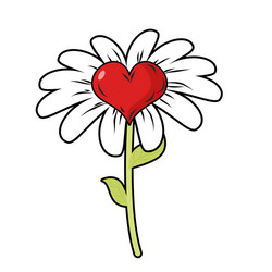 flower of love red heart symbol and daisy vector image