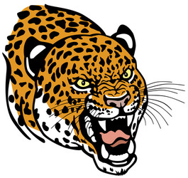 leopard head vector image