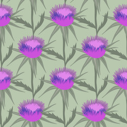 seamless pattern ws purple flowering milk thistle vector image