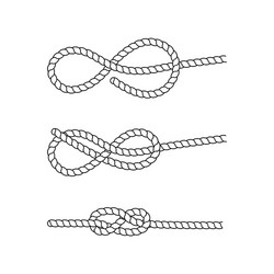 knot vector image