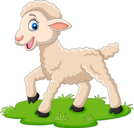 cartoon happy lamb on grass vector image