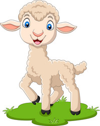 cartoon happy lamb on grass vector image