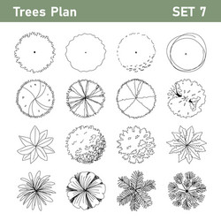 tree plan top view set 7 vector image