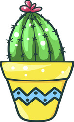 home cactus fleshy green succulent decorative vector image