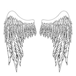 black and white hand-drawn wings vector image