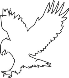 eagle outline icon vector image