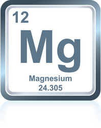 chemical element magnesium from the periodic table vector image