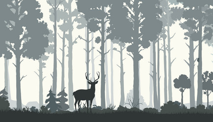 silhouettes of morning forest with deer and trees vector image