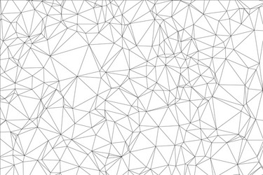 background black and white polygon vector image