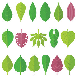 leaves icon set 1 vector image