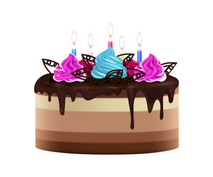 realistic birthday cake vector image