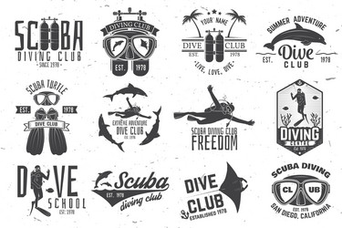 set of scuba diving club and school design vector image