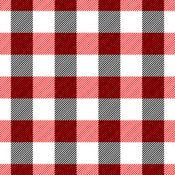 lumberjack plaid pattern in red and black vector image