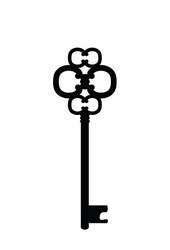 black key icon vector image