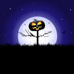 halloween pumpkin vector image