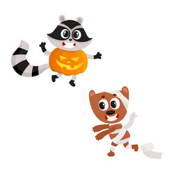 flat sraccoon wearing pumpkin mummy dog vector image