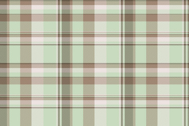 flow fabric pattern background victorian check vector image