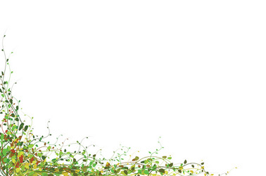 spring floral background vector image