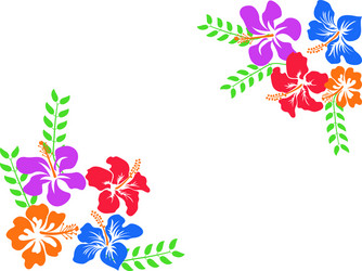 color hawaii hibiscus background vector image