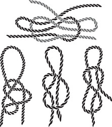 sea knot 1 vector image