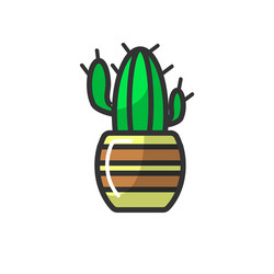 mexican cactus in striped pot isolated on white vector image