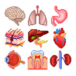 pixel human body parts icons set vector image