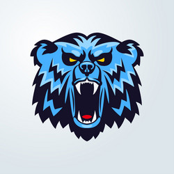 bear head logo mascot emblem vector image